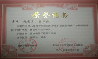 移動互聯(lián)網(wǎng)技術專業(yè)的核心價值 技術服務驅動數(shù)字未來