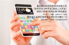 重慶軟件開發(fā) 從山地之城的數字崛起到智能未來
